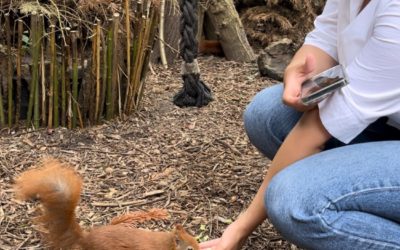 Eichhörnchen-Babies gesund kuscheln?