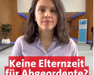 Keine Elternzeit für EU-Abgeordnete?