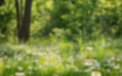 NEWS: Mehrheit für Naturwiederherstellungsgesetz